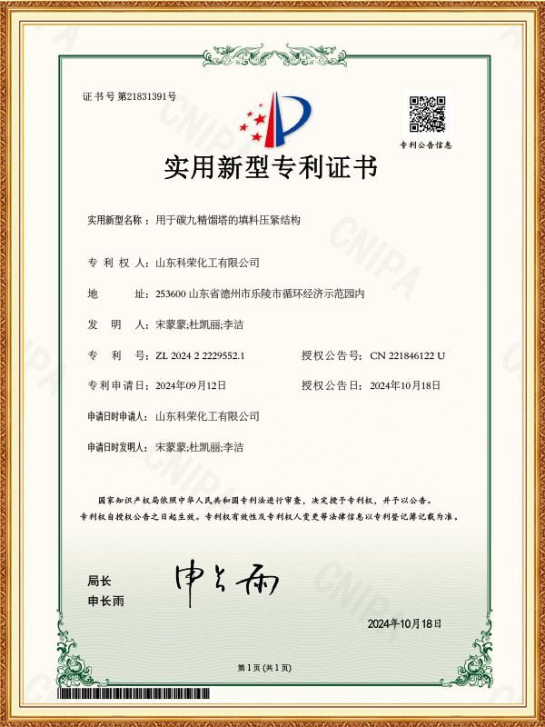 用于碳九精馏塔的填料压紧结构